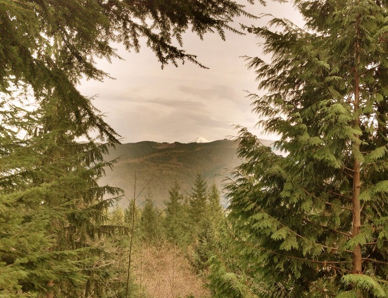 The tip of Mt. Baker peeks through the trees above Stewart Mountain & Lake Whatcom.