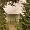 The tip of Mt. Baker peeks through the trees above Stewart Mountain & Lake Whatcom.