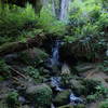 Cascading water from Trillium Falls truly completes this lush forest scene.