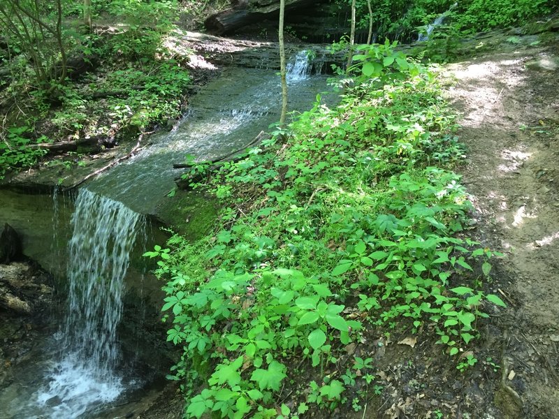 Dripping Springs Falls.