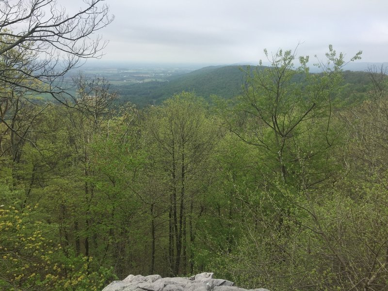 View of white rocks.