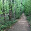 An old road that is now a great trail.