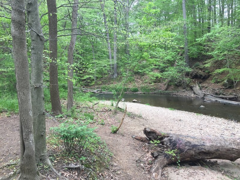 The view from the trail.