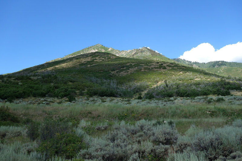 Mill Canyon Peak.