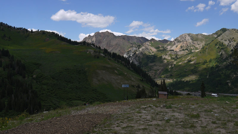 Albion Basin at Alta Ski resort.