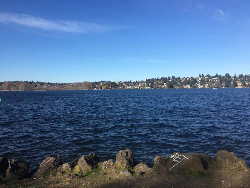 Lake Washington from Foster Point.