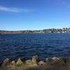 Lake Washington from Foster Point.