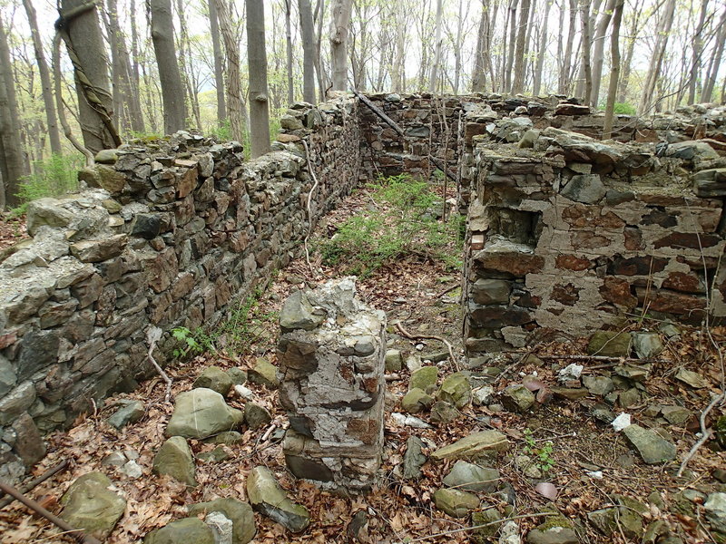 Foundation ruins.