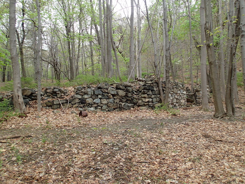 Stone house ruins along the Ruins Carriage Road.