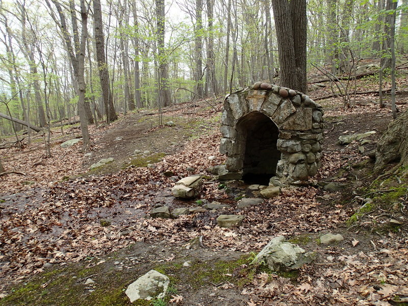 Spring located along the Bluebird Trail.