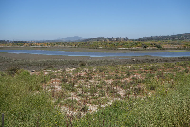 San Dieguito River flowing through the San Dieguito Lagoon.