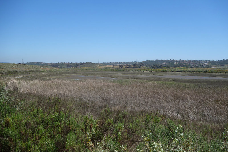 San Dieguito Lagoon in late spring.
