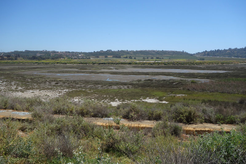 View south of San Dieguito Lagoon in late spring with I-5 at the right edge.