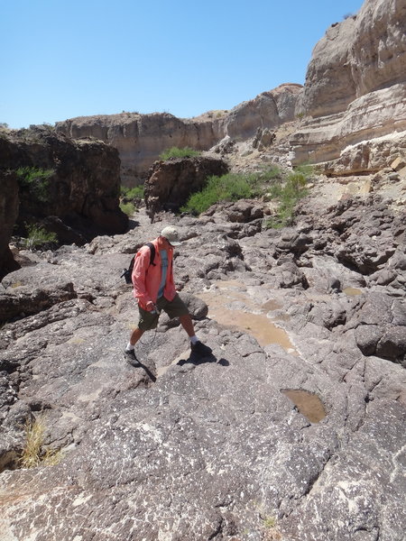 Pools of water make little waterfalls at the head of Tuff Canyon.