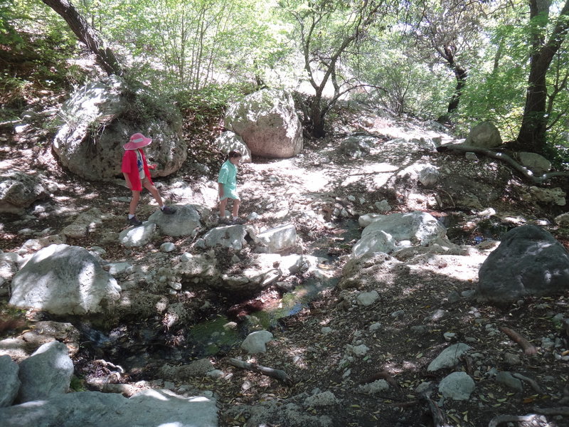 Exploring around the little trickle coming out of Smith Spring.