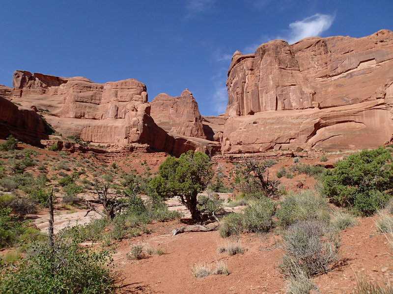 Looking up an unmarked side trail.