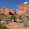 Looking up an unmarked side trail.