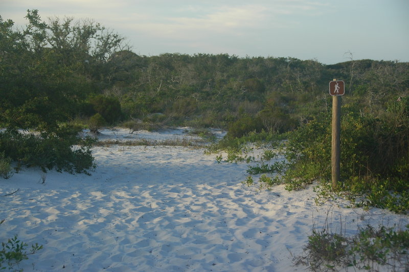 Pine Beach Trail where it leaves the road and heads through the dunes.