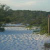 Pine Beach Trail where it leaves the road and heads through the dunes.