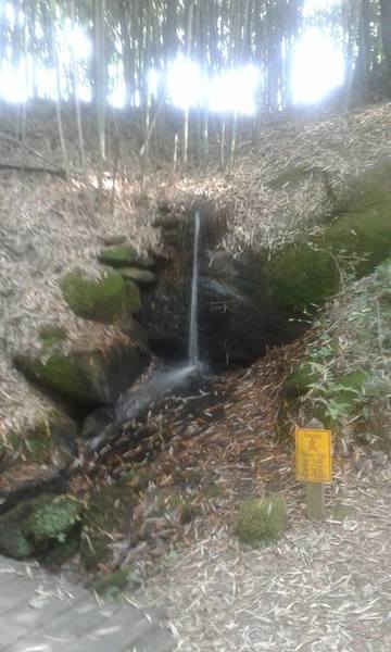 A small trailside waterfall.