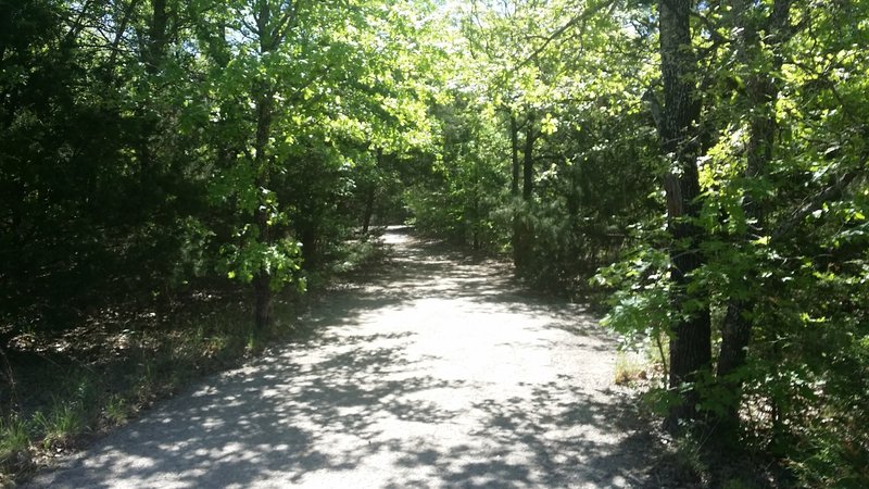 A nice paved path through the heart of the preserve.