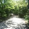 A nice paved path through the heart of the preserve.