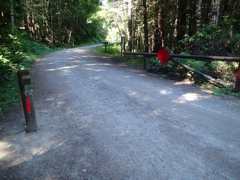 The entrance to Tall Tree Rd.