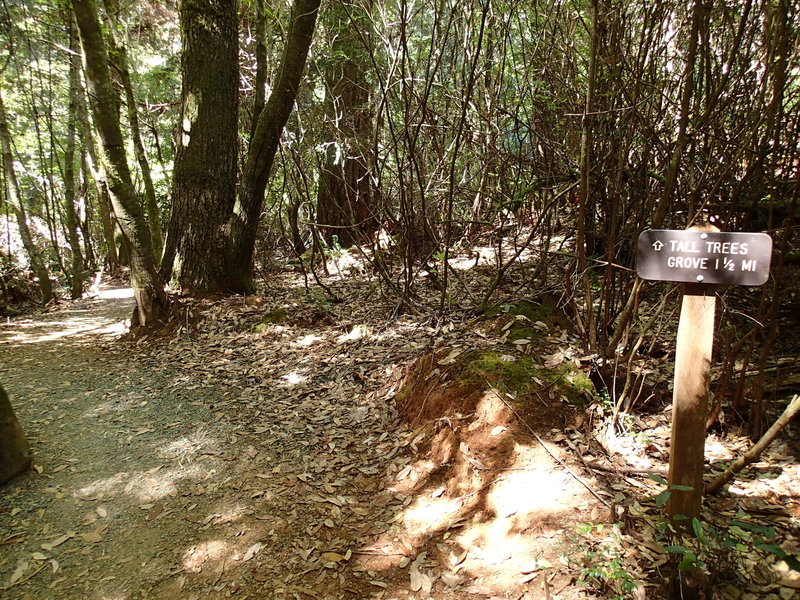 Trailhead parking area.