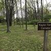 Looking at the Kaylor Family Cemetery where one of the headstones is visible.