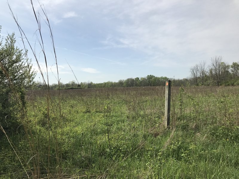 Looking out over the prairie on the Orange Trail.