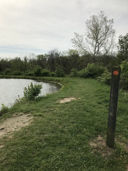 A peek at a trail marker as the trail winds around the bottom of the fishing ponds and heads toward the hidden prairies behind the ponds. Note: Good fishing spot here on the picnic tables