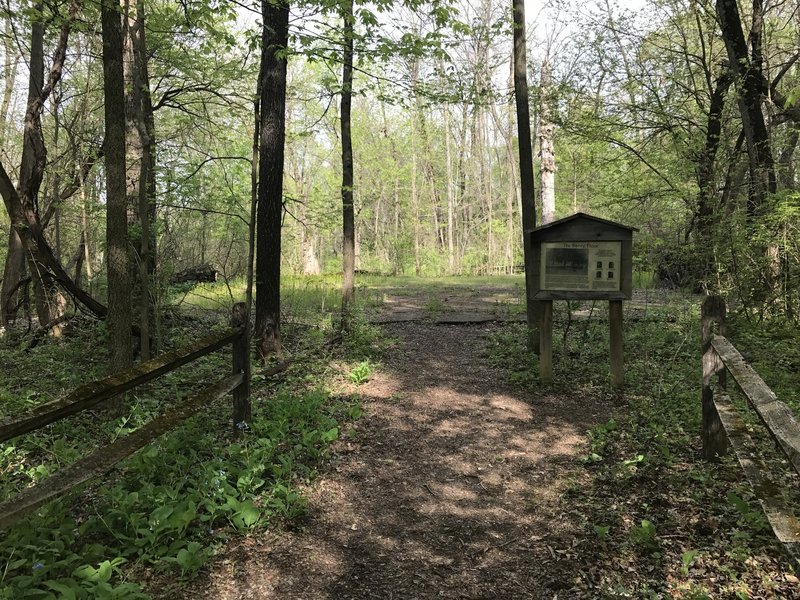 The Dancing Floor on the Purple Trail, highlighted by beautiful purple wildflowers all around.