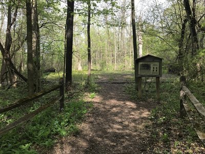The Dancing Floor on the Purple Trail, highlighted by beautiful purple wildflowers all around.