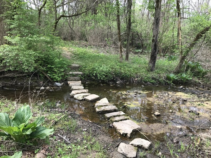 The really creative bridge on the Green Trail or Farm Track.