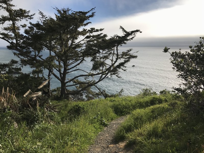 Palmers Point - Patrick's Point State Park.