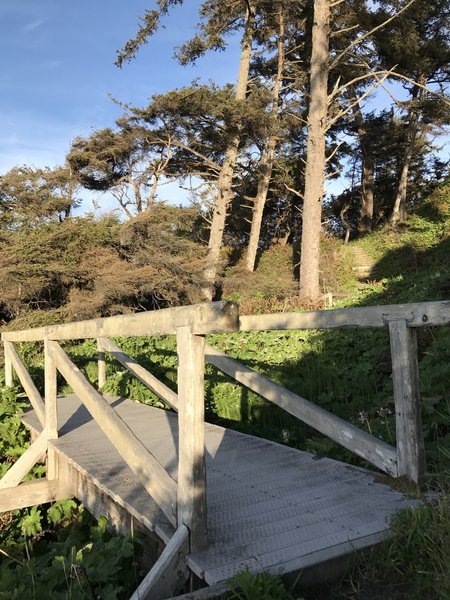 A bridge on Mussel Rocks Trail.