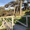 A bridge on Mussel Rocks Trail.