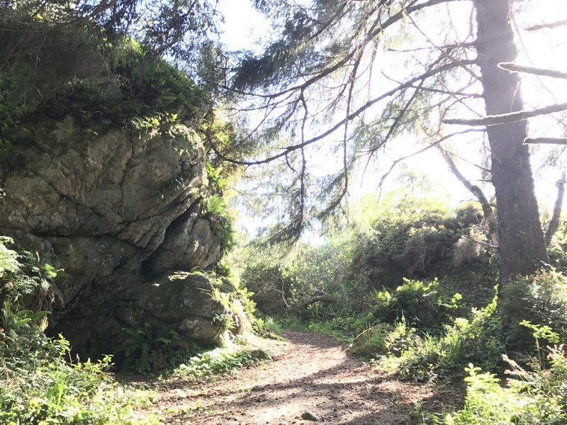 A big rock on Patrick's Point Rim Trail.