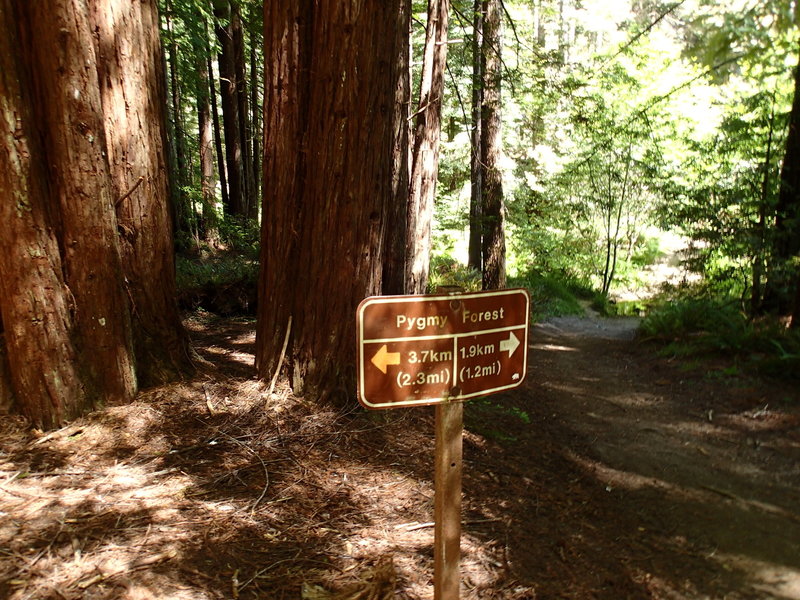 The trailhead sign at the start of the loop portion.