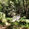 The bridge on the Fern Canyon Trail.