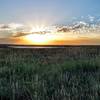 Looking east to the sunrise along the Greenbelt Plateau Trail. July 2015.