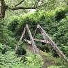 Wooden bridge on Stone Lagoon Trail.