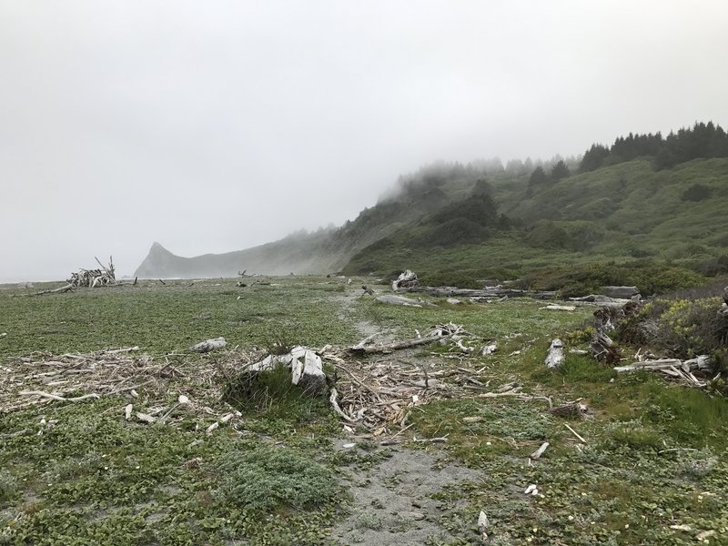 The trail to Stone Lagoon on Dry Lagoon Beach looking toward Sharp Point.