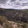 Looking south from Grasshopper Trail, you can expect a pleasant view and a good look at the other area trails.