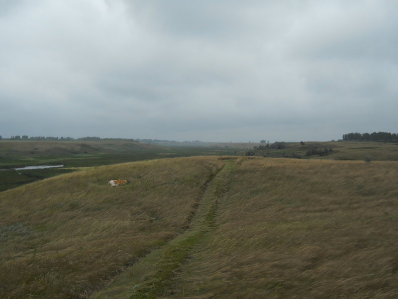 A misty, gray day along this scenic stretch of the NCT in the Lonetree WMA.