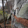 You can walk Undercliff Carriage Road, or just above it on its namesake cliff.