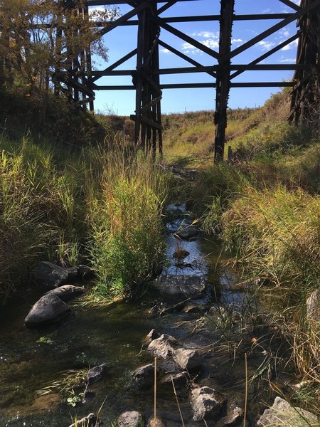 Navigate this small water crossing along the Ma-ak-oti Trail Loop.