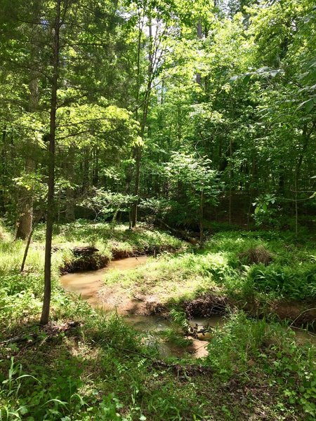 Meandering Stoney Creek is a pleasant trailside companion.