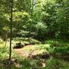 Meandering Stoney Creek is a pleasant trailside companion.