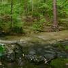 You'll have to navigate this wet stream crossing along the Stoney Creek Foot Trail.